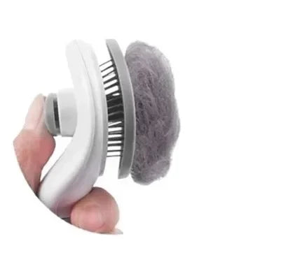 Brosse pousse poils