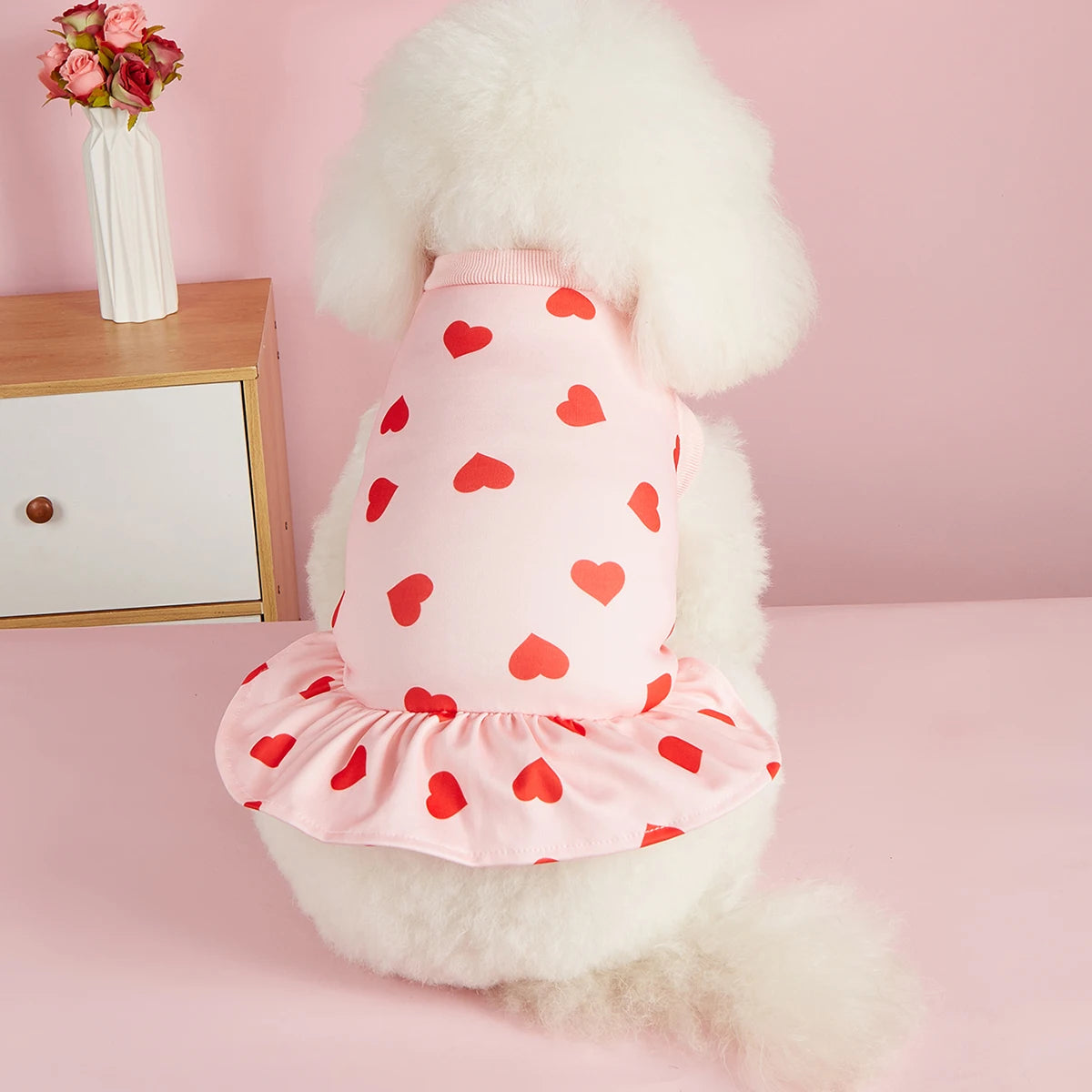 Robe spécial Saint-Valentin